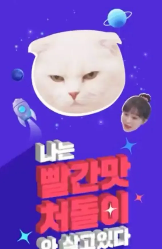동물